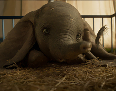 «Звезда родилась» о летающих слонах: Первая реакция на «Дамбо»