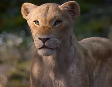 «Всем сохранять спокойствие!»: Бейонсе поделилась новым трейлером «Короля льва»