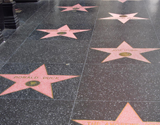 Крис Хемсворт, Джулия Робертс, Синди Кроуфорд и другие получат звезду на голливудской Аллее славы