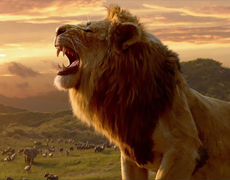 В мире животных: рецензия на фильм «Король Лев»